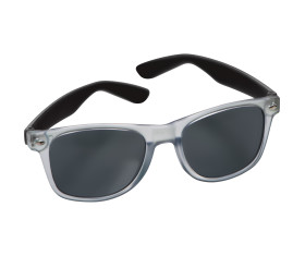 Sunglasses Dakar